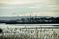 16 01 16_0662_edited-1